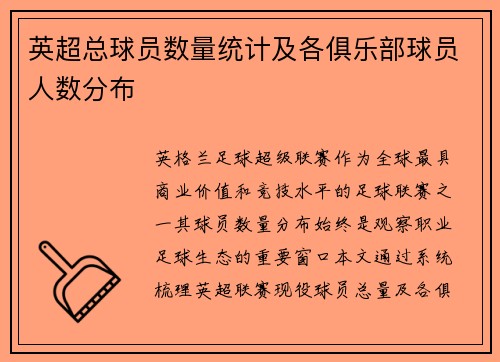 英超总球员数量统计及各俱乐部球员人数分布